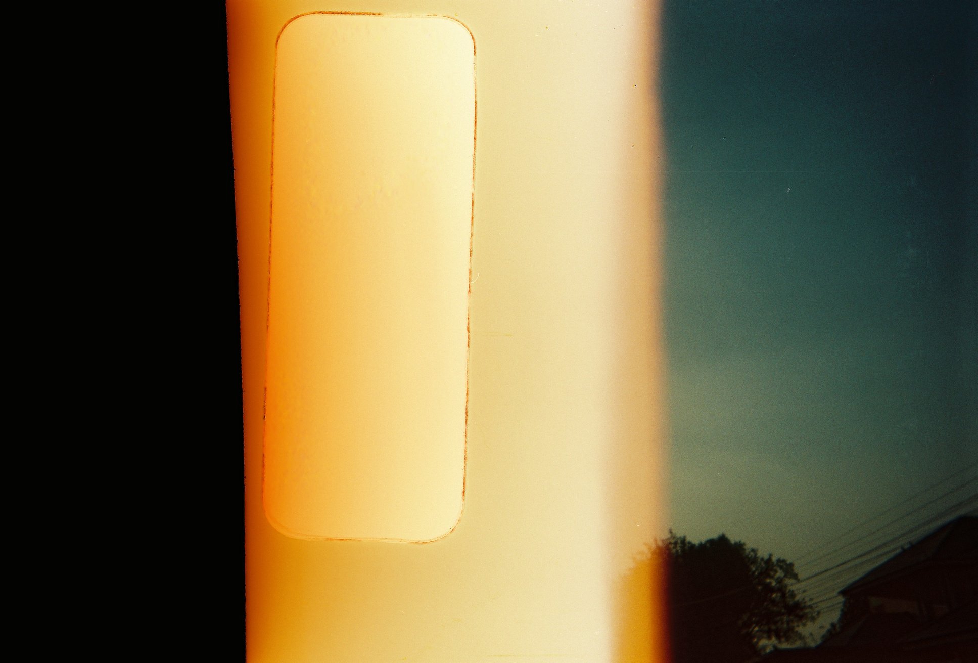 Film Reel in front of a Sky and a Tree